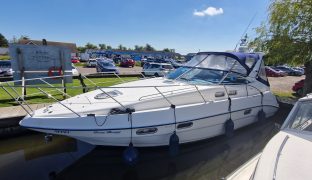 Sealine S34 - Ocean Therapy  - 6 Berth Sports Cruiser 