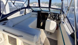 Bayliner 2655 - Lovely Jubbly - 4 Berth Sports Cruiser 